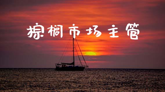 棕榈市场主管_https://wap.yjjixie.cn_证券市场_第1张