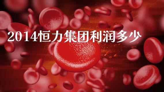 2014恒力集团利润多少_https://wap.yjjixie.cn_证券市场_第1张