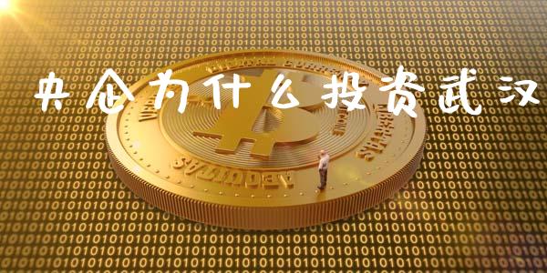 央企为什么投资武汉_https://wap.yjjixie.cn_保险理财_第1张