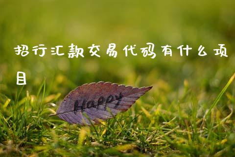 招行汇款交易代码有什么项目_https://wap.yjjixie.cn_港股行情_第1张