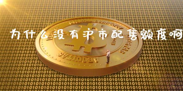为什么没有沪市配售额度啊_https://wap.yjjixie.cn_港股行情_第1张