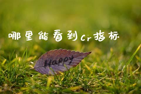 哪里能看到cr指标_https://wap.yjjixie.cn_港股行情_第1张