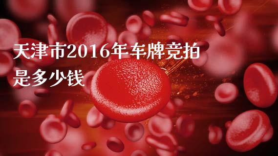 天津市2016年车牌竞拍是多少钱_https://wap.yjjixie.cn_港股行情_第1张