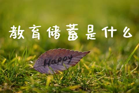 教育储蓄是什么_https://wap.yjjixie.cn_证券市场_第1张