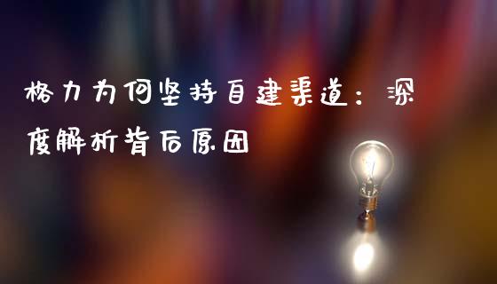 格力为何坚持自建渠道：深度解析背后原因_https://wap.yjjixie.cn_港股行情_第1张