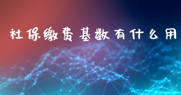 社保缴费基数有什么用_https://wap.yjjixie.cn_保险理财_第1张