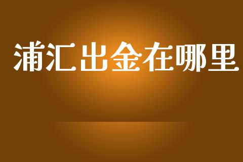浦汇出金在哪里_https://wap.yjjixie.cn_港股行情_第1张
