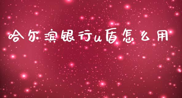 哈尔滨银行u盾怎么用_https://wap.yjjixie.cn_商业资讯_第1张