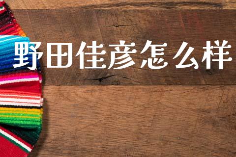 野田佳彦怎么样_https://wap.yjjixie.cn_证券市场_第1张