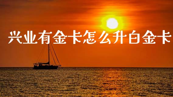 兴业有金卡怎么升白金卡_https://wap.yjjixie.cn_证券市场_第1张