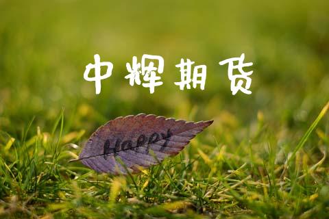 中辉期货_https://wap.yjjixie.cn_证券市场_第1张