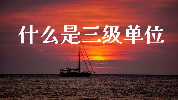 什么是三级单位_https://wap.yjjixie.cn_证券市场_第1张