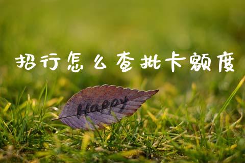 招行怎么查批卡额度_https://wap.yjjixie.cn_港股行情_第1张