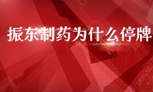 振东制药为什么停牌_https://wap.yjjixie.cn_港股行情_第1张