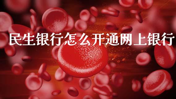 民生银行怎么开通网上银行_https://wap.yjjixie.cn_商业资讯_第1张
