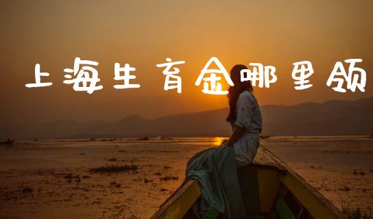 上海生育金哪里领_https://wap.yjjixie.cn_保险理财_第1张