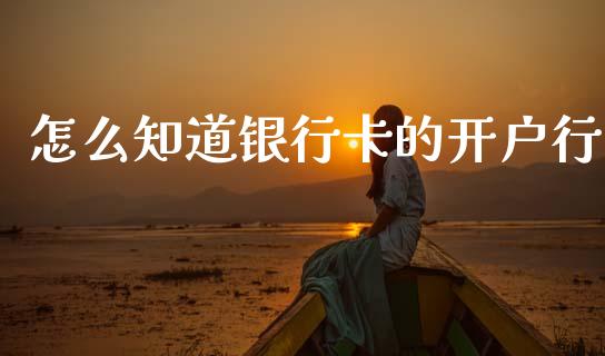 怎么知道银行卡的开户行_https://wap.yjjixie.cn_保险理财_第1张