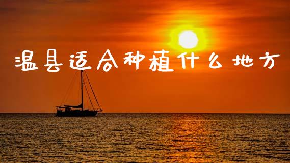 温县适合种植什么地方_https://wap.yjjixie.cn_港股行情_第1张