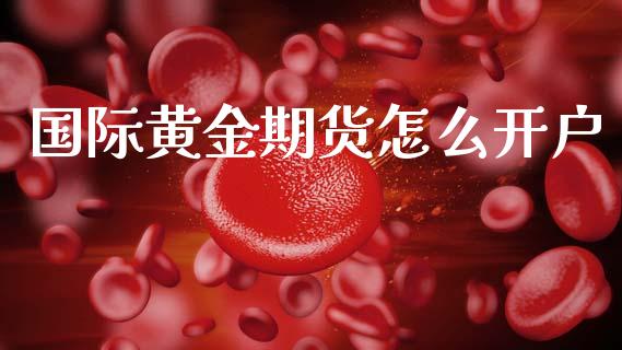 国际黄金期货怎么开户_https://wap.yjjixie.cn_港股行情_第1张