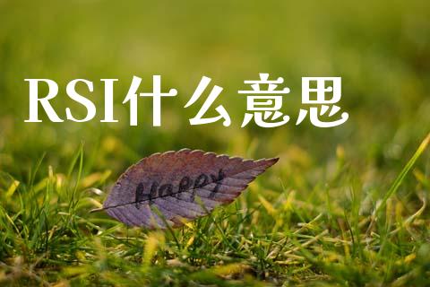 RSI什么意思_https://wap.yjjixie.cn_商业资讯_第1张