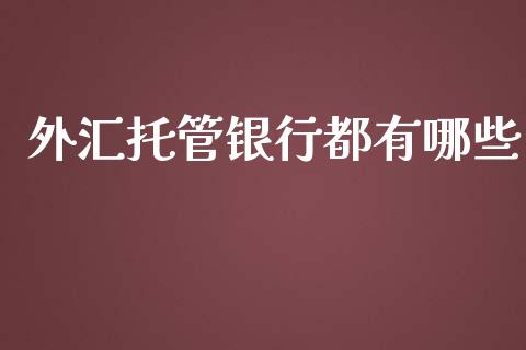 外汇托管银行都有哪些_https://wap.yjjixie.cn_商业资讯_第1张