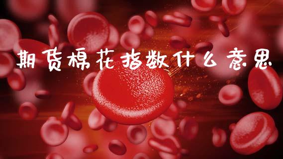 期货棉花指数什么意思_https://wap.yjjixie.cn_保险理财_第1张