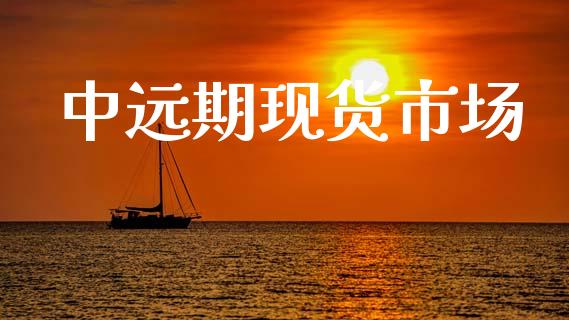 中远期现货市场_https://wap.yjjixie.cn_证券市场_第1张