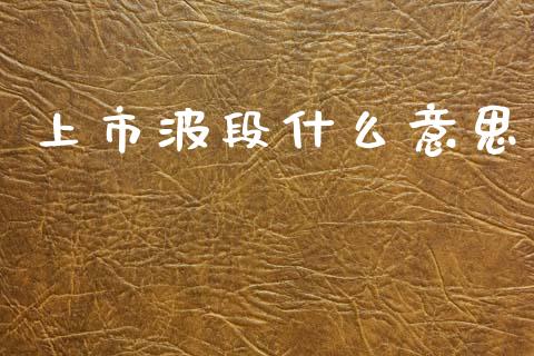 上市波段什么意思_https://wap.yjjixie.cn_保险理财_第1张