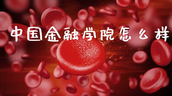 中国金融学院怎么样_https://wap.yjjixie.cn_港股行情_第1张