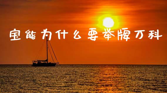 宝能为什么要举牌万科_https://wap.yjjixie.cn_商业资讯_第1张
