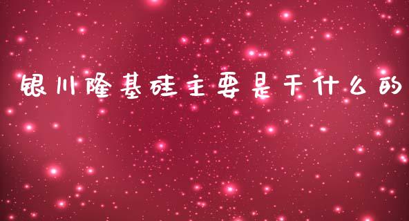 银川隆基硅主要是干什么的_https://wap.yjjixie.cn_商业资讯_第1张