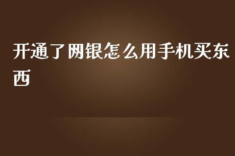 开通了网银怎么用手机买东西_https://wap.yjjixie.cn_保险理财_第1张