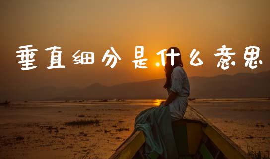 垂直细分是什么意思_https://wap.yjjixie.cn_保险理财_第1张
