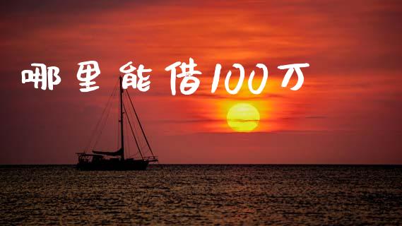哪里能借100万_https://wap.yjjixie.cn_保险理财_第1张