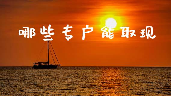 哪些专户能取现_https://wap.yjjixie.cn_证券市场_第1张