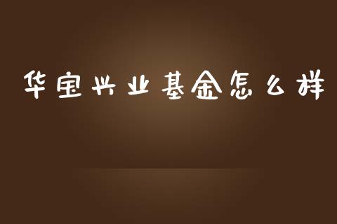 华宝兴业基金怎么样_https://wap.yjjixie.cn_保险理财_第1张