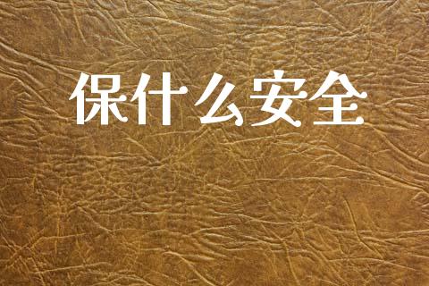 保什么安全_https://wap.yjjixie.cn_保险理财_第1张