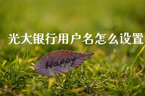 光大银行用户名怎么设置_https://wap.yjjixie.cn_保险理财_第1张