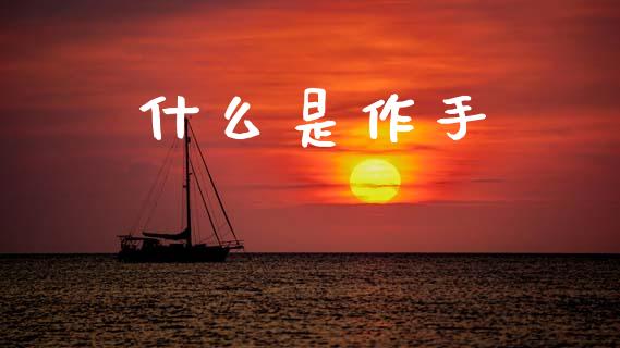 什么是作手_https://wap.yjjixie.cn_港股行情_第1张