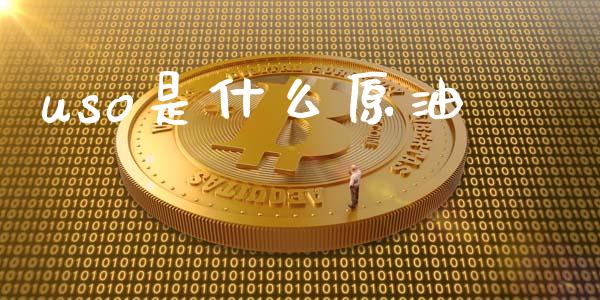 uso是什么原油_https://wap.yjjixie.cn_证券市场_第1张