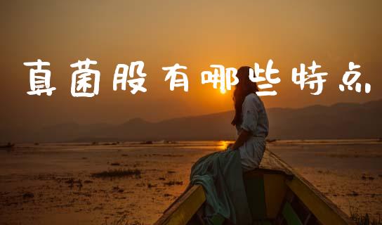 真菌股有哪些特点_https://wap.yjjixie.cn_商业资讯_第1张