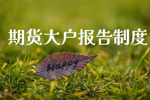 期货大户报告制度_https://wap.yjjixie.cn_证券市场_第1张