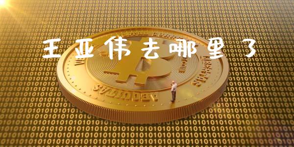 王亚伟去哪里了_https://wap.yjjixie.cn_保险理财_第1张