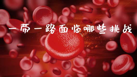 一带一路面临哪些挑战_https://wap.yjjixie.cn_商业资讯_第1张