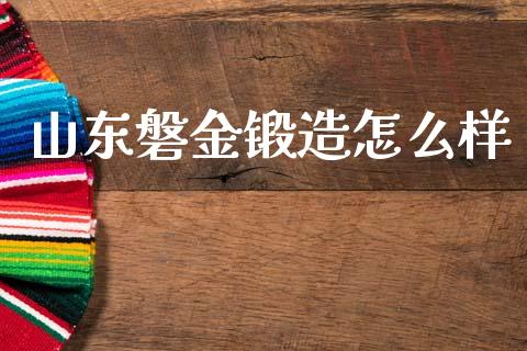 山东磐金锻造怎么样_https://wap.yjjixie.cn_保险理财_第1张
