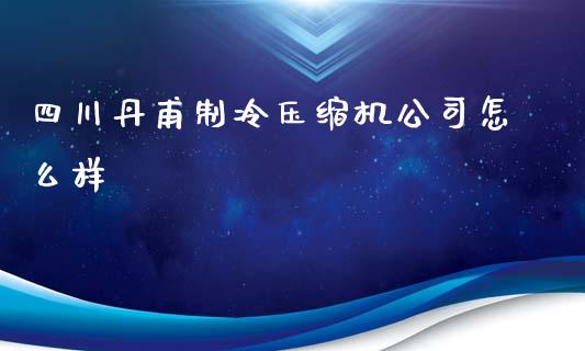 四川丹甫制冷压缩机公司怎么样_https://wap.yjjixie.cn_港股行情_第1张