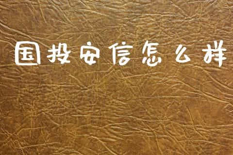 国投安信怎么样_https://wap.yjjixie.cn_商业资讯_第1张