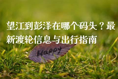 望江到彭泽在哪个码头？最新渡轮信息与出行指南_https://wap.yjjixie.cn_保险理财_第1张