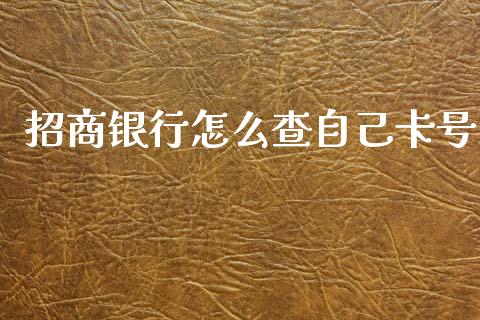 招商银行怎么查自己卡号_https://wap.yjjixie.cn_港股行情_第1张