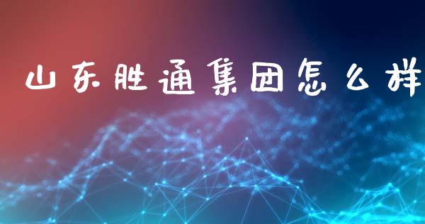 山东胜通集团怎么样_https://wap.yjjixie.cn_商业资讯_第1张